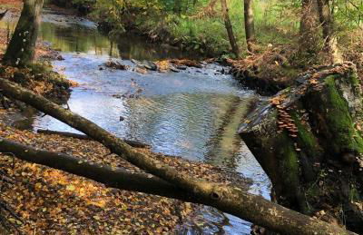 Urbane Remise - Foto 27