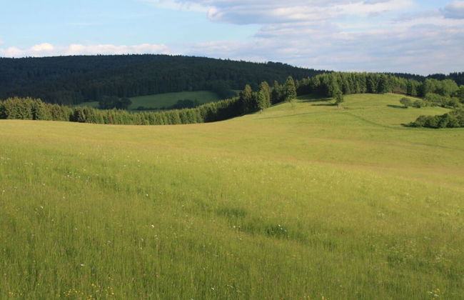 Holiday Apartment Seimbergblick - Foto 9