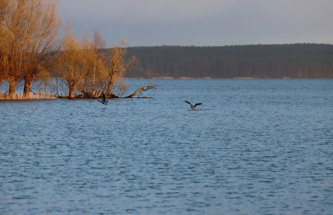 Ferienhaus Kiebitz, Plau am See - Photo 36