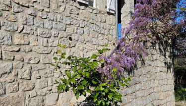 Gîte de caractère tout confort "Au Clos des Ammonites chez Ange&Sébastien " - Photo 2