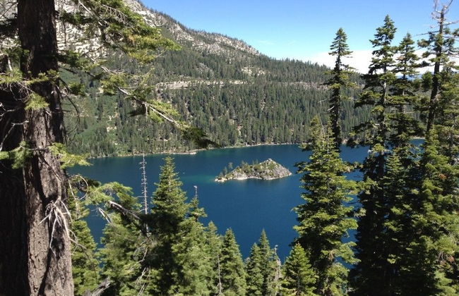 865 Michael Dr. - Foto 13