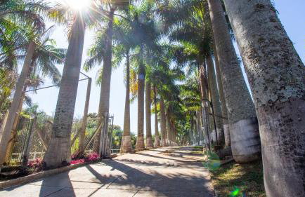 Chácara Eldorado - Foto 18