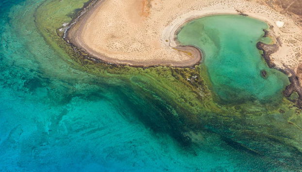 Immerse yourself in the natural beauty of Lobos Island