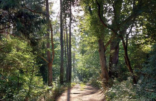 Calm House Krzynia - dom nad jeziorem do wynajęcia - Foto 9