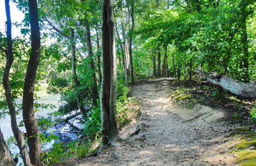 Charming, Cheerful 3 Bedroom Home in Richmond, VA! - Foto 49