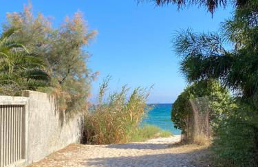 Casa Robi - Photo 21