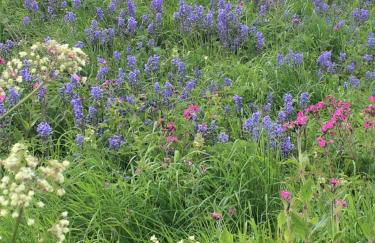 STUNNING LODGE MINUTES FROM THE SEA AND GOLF COURSE - Foto 45