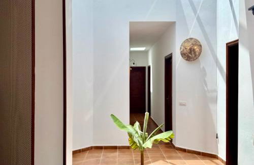 Canaryislandshost I Tauco - Foto 21