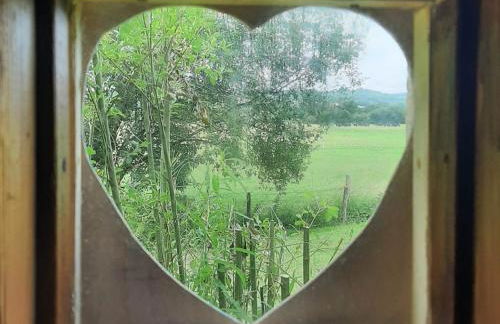 Rosie - Uk49025 - Foto 12