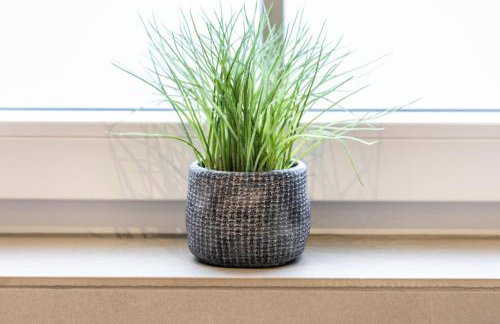 Ferienwohnungen Vogelsang - Photo 42