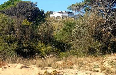 Il Canneto di Selinunte - Foto 47