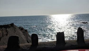 Rosie's place - Foto 2