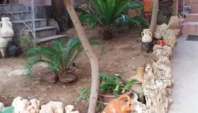 Meravigliosa vista mare da Rita - IUN R7740 - Foto 2, Garden