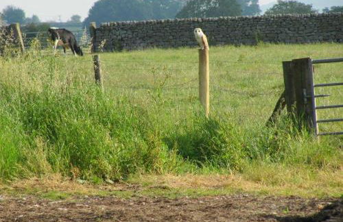 1 Bed in Harrogate oc-hh071 - Photo 13