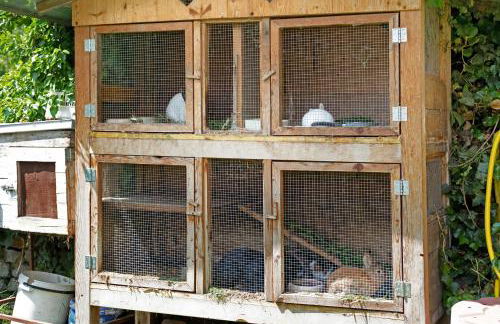 Bertollhof Apfelerlebnis - Foto 21