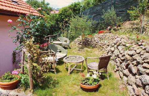 Bice di Casteruggia - Foto 24