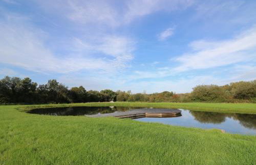 Dragonfly Shepherd's Hut - Photo 29