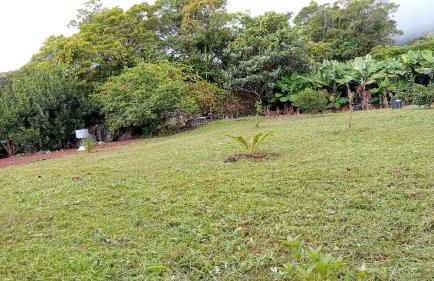 Sunflower Guest House - Madalena - Pico - Photo 44