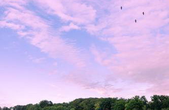Wohnen im Carl Maria von Weber Geburtshaus - Foto 6