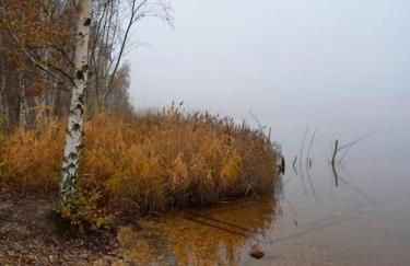 Ihr Traumhaus auf dem Hainer See - Foto 33