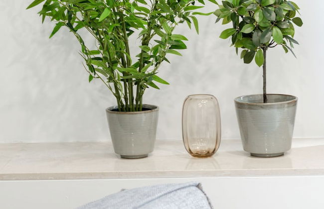 Limehome Madrid Calle de Don Ramón de la Cruz - Foto 51