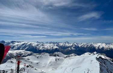 Nouveau chalet d'architecte Le Lauzaret sauna et jacuzzi Villard-Reculas - Foto 27