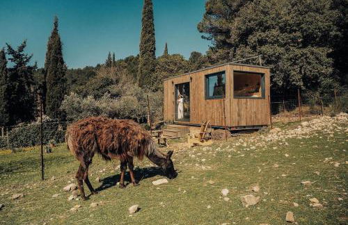 Parcel Tiny House Barroux, entouré par les lamas près du Mont Ventoux - Foto 2