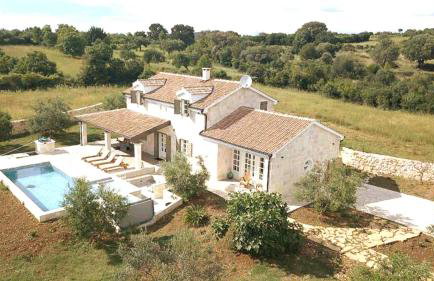 NEW 2023 Villa Tree of Life - Photo 16