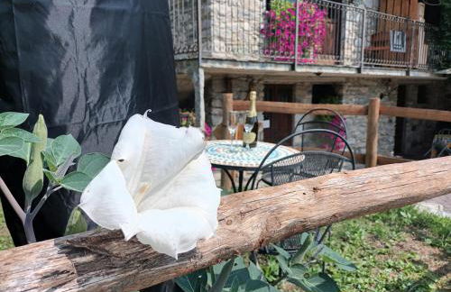 Farmhouse of Grandfather Chek - Foto 30