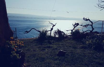 Apartments Coko - Foto 23