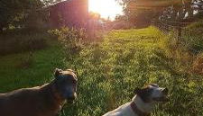 Hilltop Cabin - Foto 4