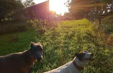 Hilltop Cabin - Foto 4