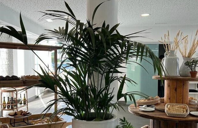 Hyde Park Lane - Foto 67