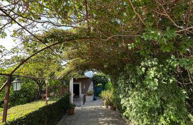 Villa Mariuccia - Foto 13