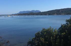 La Marina Apartment with Pool - Foto 30