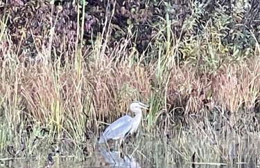 Island Aframe Adventure - Foto 33