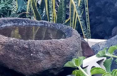 Casa Omaira y Nacho - Foto 17