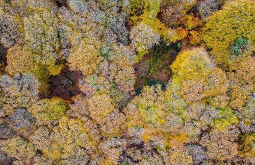 Smiddy Cottage, Historic Village Hub with Spacious Lounge, High Ceilings, and Wood Stove - Foto 19