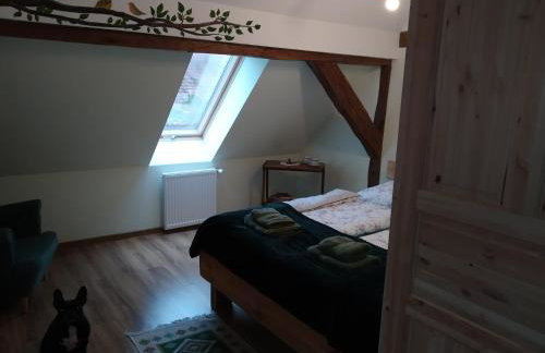 Skotopaska - Foto 13