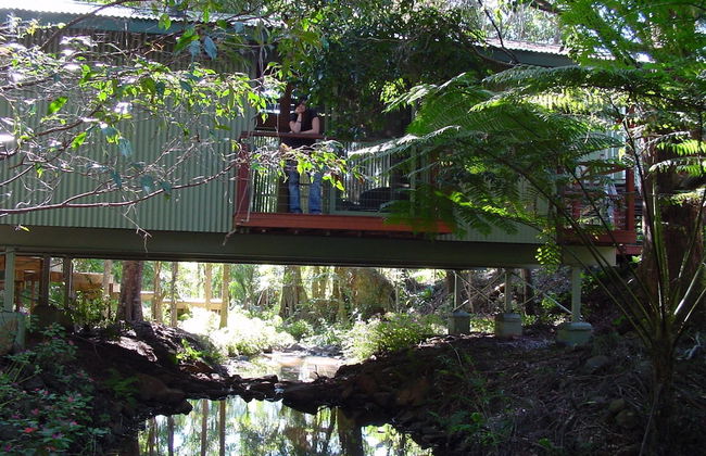 Treetops Accommodation Montville - Photo 53