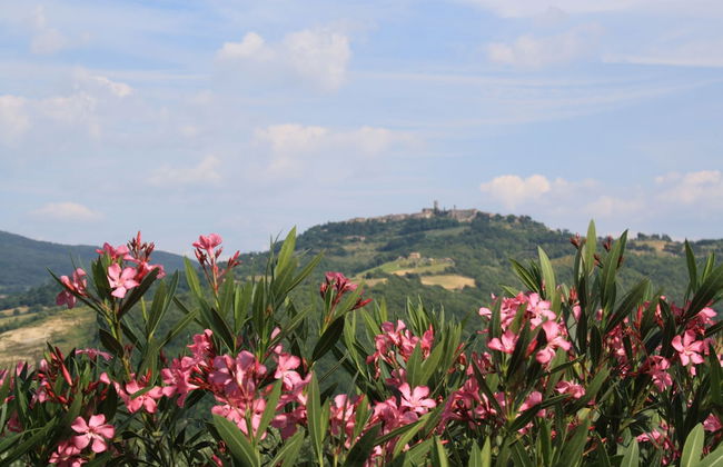Agriturismo Materno - Foto 67