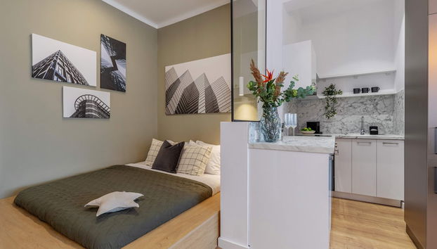 Efficient Studio Apartments on Calea Victoriei - Smart Layouts & Central Access - Foto 3, Habitación