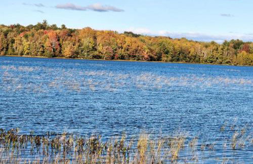 Angel Mist Retreat Entire Place - Foto 34