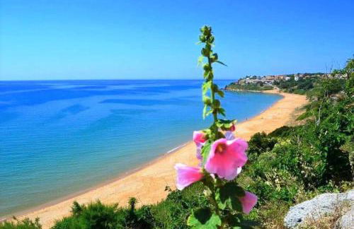 Agri B&B Terre Joniche - Foto 53