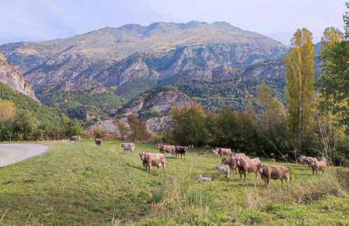 El Refugio de Tena - tucasaenlospirineos - Foto 28
