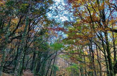 Hotel AV Apartamentos Lobios - Foto 62