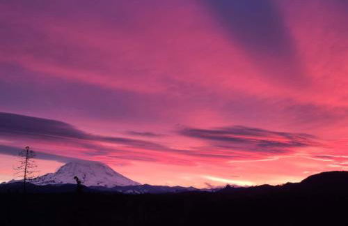 Stunning Mt Rainier Views!tahoma Ridge Cottage - Foto 56
