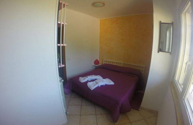 I Cardinali - Foto 4