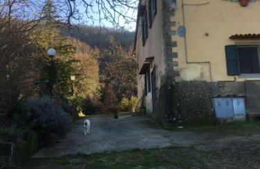 Welcome in Toscana - Foto 54