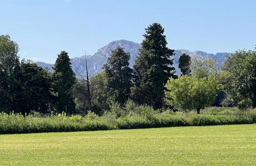 Mazet au pied des Alpilles, avec Piscine & Pétanque - Foto 30